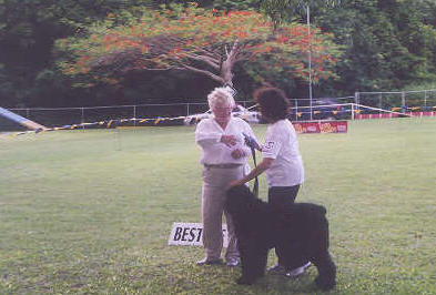 Thank you very much, Brenda