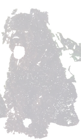 Ch. Calliope Tina, CD