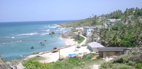 Bathsheba enjoys the fresh breezes and rough currents of the Atlantic Ocean