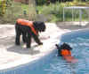Ody contemplates a rescue