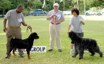 Rhapsody at 19 months