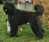 Wins Best Jeugdreu