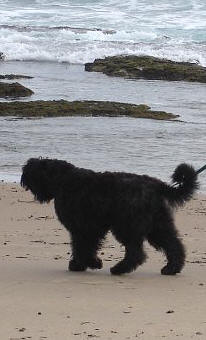 Rick enjoying the B'dos. beach
