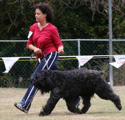 Rita gaiting