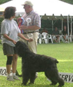 Rhapsody wins Reserve Working Group