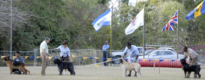 Frank Kane inspecting Rhapsody again