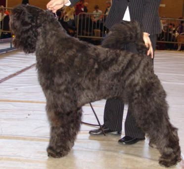 Rick Lois at a show