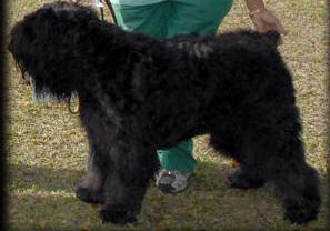 Rhapsody wins Reserve Working Group